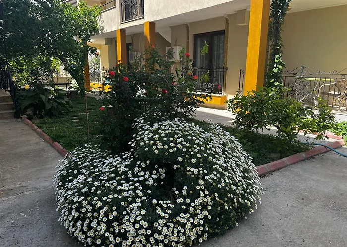 Grand Teoshan Ve Apartment *