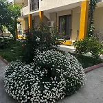 Grand Teoshan Ve Seferihisar