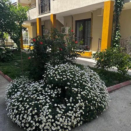 Grand Teoshan Ve Seferihisar